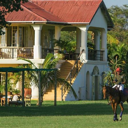 Wildlife Residence Tuvaila Ngoại thất bức ảnh
