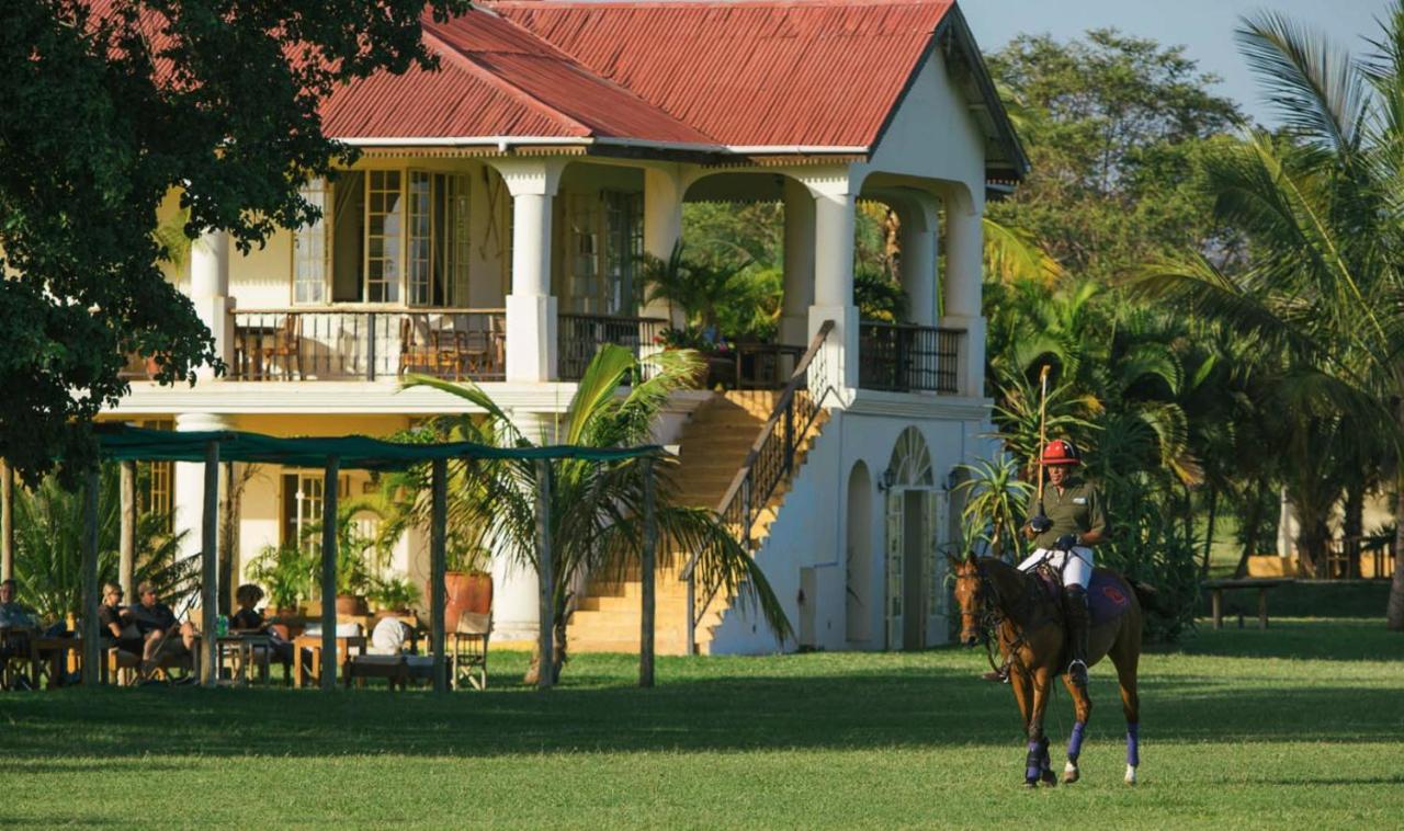 Wildlife Residence Tuvaila Ngoại thất bức ảnh